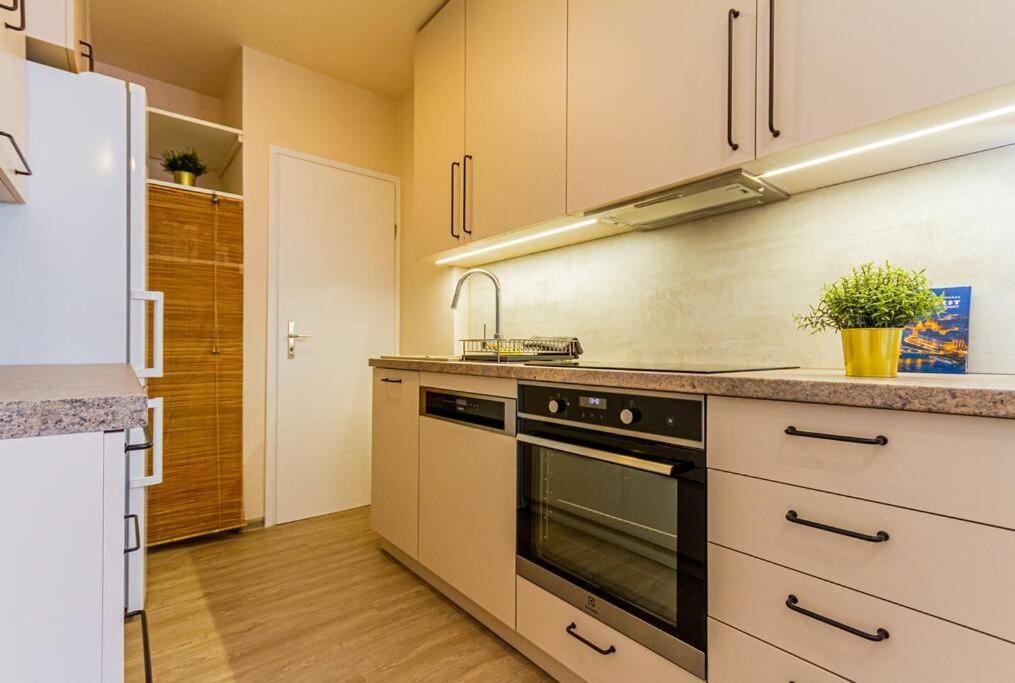 Roomy Apartment 80Sqm At City Center Free Parking Space, Ac & Balcony Будапешт Экстерьер фото
