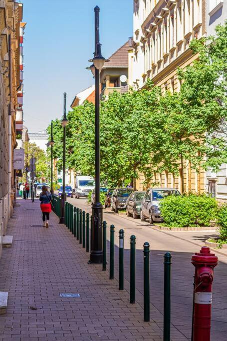 Roomy Apartment 80Sqm At City Center Free Parking Space, Ac & Balcony Будапешт Экстерьер фото
