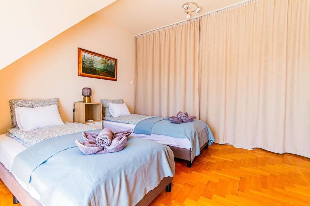 Roomy Apartment 80Sqm At City Center Free Parking Space, Ac & Balcony Будапешт Экстерьер фото